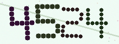 CAPTCHA mit vier gut lesbaren Ziffern